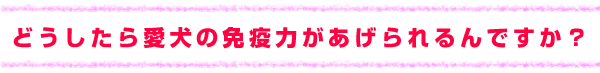 �ǂ������爤���̖Ɖu�͂����������ł����H