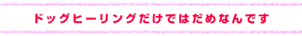ドッグヒーリングだけではだめなんです
