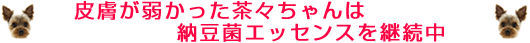 �畆���ォ�������X�����͔[���ۃG�b�Z���X���p����